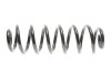 Фото 4 - пружина (задня) VW Passat B8 1.4-2.0TDI 14-/Touran 1.0-2.0TDI (с пост. діам.) EIBACH R21093 Пружина (задня) VW Passat B8 1.4-2.0TDI 14-/Touran 1.0-2.0TDI (с пост. діам.) EIBACH R21093 (фото 4)