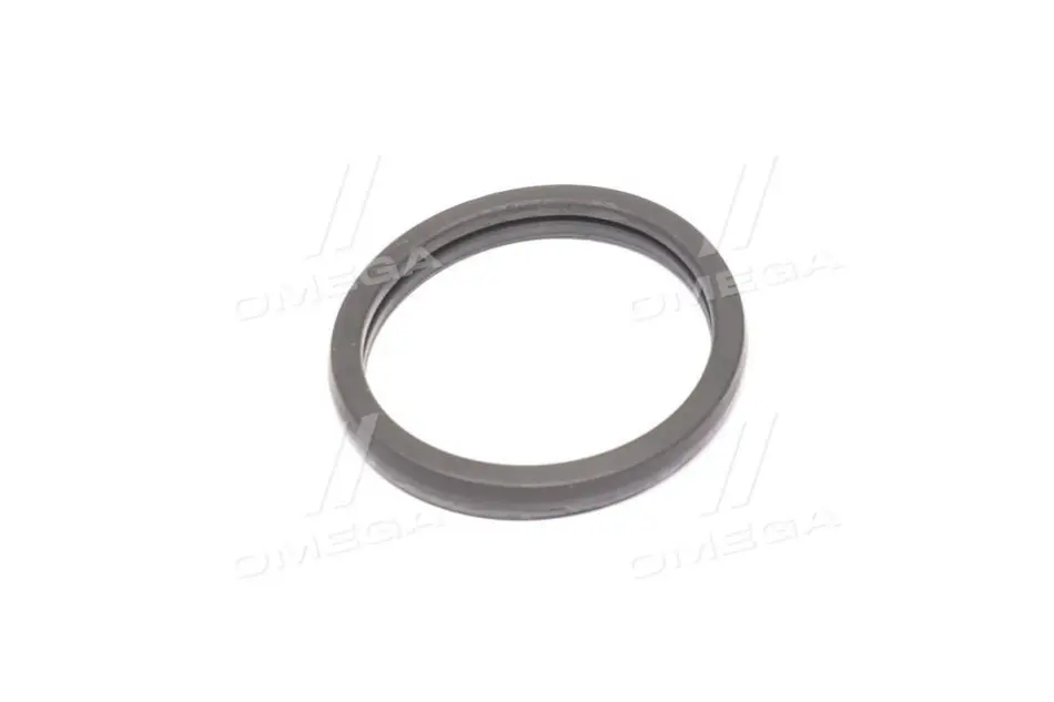 Прокладка термостата Ford Transit 2.0-2.4 00-06 ELRING 027.450 (фото 1)