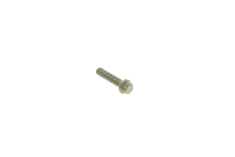 Болт кріплення кришки шатуна VW Caddy IV 1.0-1.6 TSI 15- (M8x1x33) ELRING 038.820