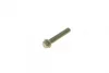 Болт кріплення кришки шатуна VW Caddy III/IV/T6 04- (M8x1) ELRING 039.000 (фото 1)