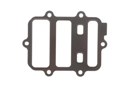 Прокладка клапана EGR Man TGE/VW Crafter/T6 2.0 TDI 15- ELRING 060.700