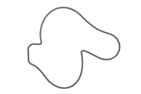 Прокладка помпи води Audi Q5/Q8/VW Touareg 16- ELRING 107.170