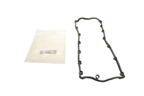 Прокладка кришки клапанів VW T5/Touareg 2.5TDI 03-10 ELRING 246.520