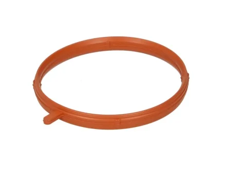 Прокладка корпуса колектора впускного BMW 3 (E46)/Z3 (E36) 1.6/1.9 98- ELRING 359.360
