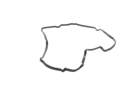Прокладка кришки клапанів Nissan 350/Renault Espace 02- (R) ELRING 372.760