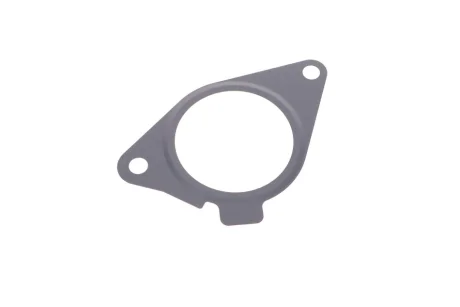 Прокладка клапана EGR BMW 3 (F30/F80)/5 (F10/G30/F90)/7 (G11/G12) 11- B47 D20 ELRING 380.070