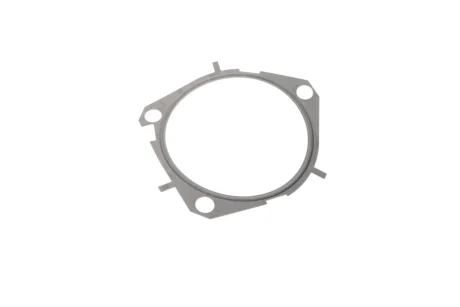 Прокладка помпи води Fiat Doblo 1.9 JTD/Opel Combo 1.6/2.0 CDTI 01- ELRING 453.970