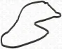 Прокладка кришки ГРМ NISSAN CABSTAR, NAVARA NP300 RVI MAXITY 2.5D 07.05- ELRING 469280 (фото 2)
