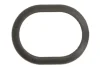Прокладка радіатора масляного ущільнюючого Porsche Cayenne 3.6/4.8 GTS 07- ELRING 482.260 (фото 1)