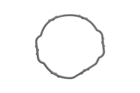Прокладка термостата BMW 5 (E60/F10)/7 (F01-F04) 07-15 N47/N57 ELRING 492.150