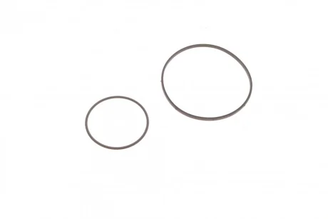 Прокладка насосу вакуумного BMW 3 (E46/E90)/5 (E60) 1.8/2.0 01-11 ELRING 522.900