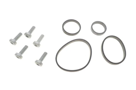 Прокладка радіатора масляного VW T5 2.5TDI 03-09 (к-кт) ELRING 558.350
