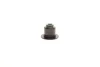 Комплект прокладок (верхній) Ford Fiesta V/Focus II/Mazda 2/Volvo C30/S40/V50 1.6 01-12 ELRING 569.871 (фото 7)