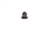 Комплект прокладок (верхній) Ford Fiesta V/Focus II/Mazda 2/Volvo C30/S40/V50 1.6 01-12 ELRING 569.871 (фото 10)