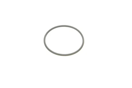 Прокладка помпи воды Ford Transit Connect 2.5 Duratec 13- ELRING 634.910