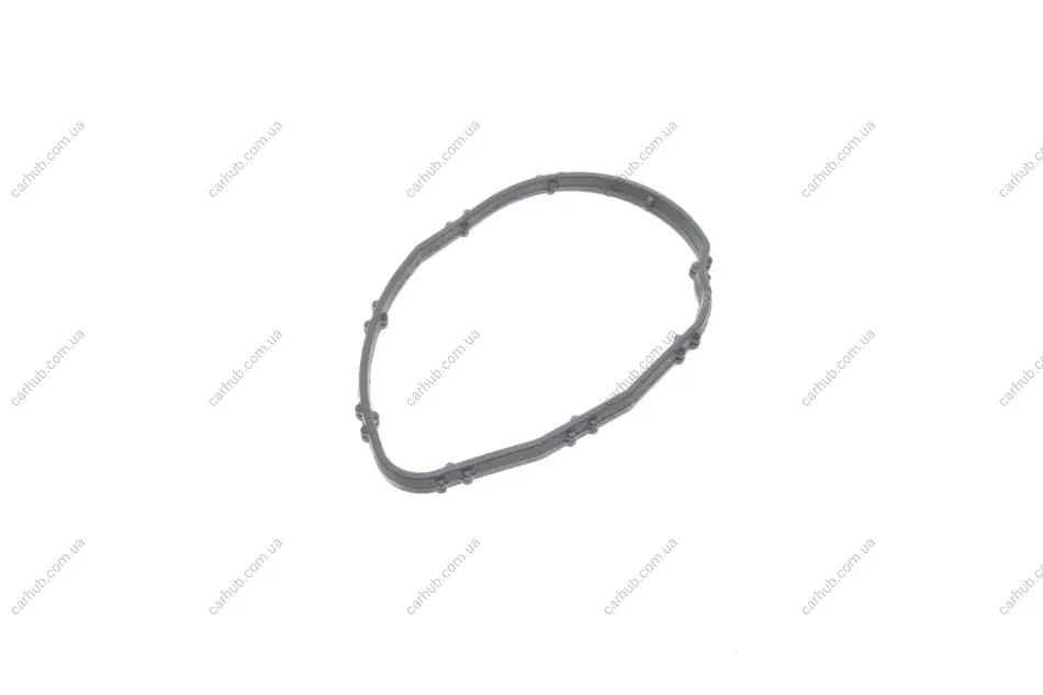 Прокладка термостата BMW 3 (F30/F80/G20/G80/G28)/5 (F10/G30/F90)/7 (G11/G12) 13- B47/N47 ELRING 648.240 (фото 1)