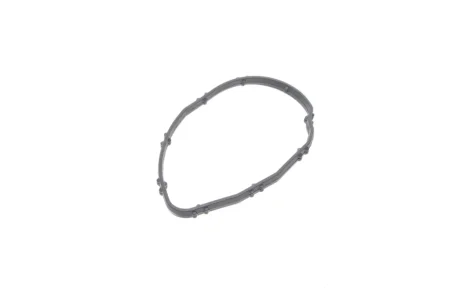 Прокладка термостата BMW 3 (F30/F80/G20/G80/G28)/5 (F10/G30/F90)/7 (G11/G12) 13- B47/N47 ELRING 648.240