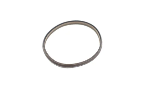 Прокладка натяжника ланцюга ГРМ (кільце) Chevrolet Aveo 1.2/1.4/Opel Astra J 1.4 09- ELRING 689.350