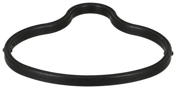 Прокладка впускного колектора BMW 5 (E60), 5 (E61), 6 (E63), 6 (E64) 5.0 09.04-12.10 ELRING 727920 (фото 1)