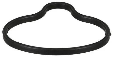 Прокладка впускного колектора BMW 5 (E60), 5 (E61), 6 (E63), 6 (E64) 5.0 09.04-12.10 ELRING 727920