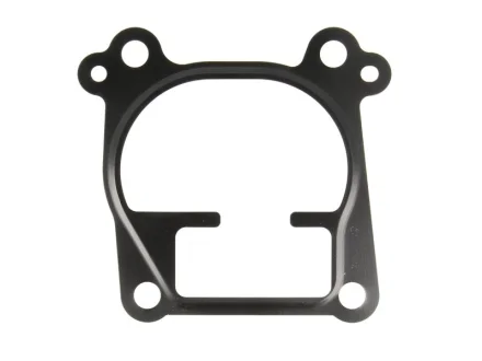 Прокладка корпуса колектора впускного Opel Astra G 2.0/2.2 DTI 99-05 ELRING 743.970