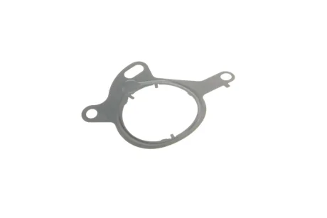 Прокладка насосу вакуумного Ford Transit Connect 1.6 EcoBoost 13- ELRING 767.120