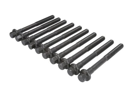 Комплект болтів головки циліндра ELRING 820512