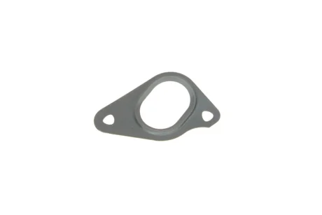 Прокладка помпи води Land Rover Defender/Discovery/Range Rover 3.0/5.0 09- ELRING 886.800