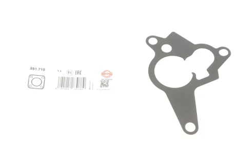 Прокладка насосу вакуумного Renault Trafic 2.0dCi 06- ELRING 891.710