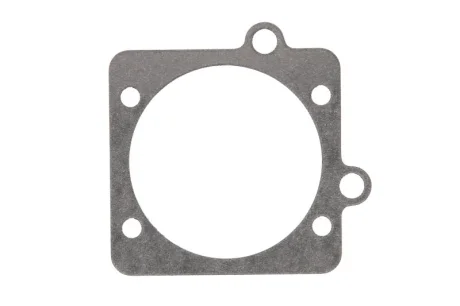 Прокладка впускного колектора CHEVROLET ASTRA, VECTRA, VIVA OPEL ASTRA G, ASTRA H, ASTRA H GTC, CORSA C, MERIVA A, OMEGA B, SIGNUM, TIGRA, VECTRA B, VECTRA C, VECTRA C GTS 1.8/2.2 10.95-02.15 ELRING EL701580