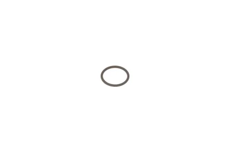 (EN) O-ring for CR injector body - fuel pressure sensor on CR rail BOSCH (п"єзофорсунки Bosch, внутрішній діаметр 16мм, зовнішній діаметр 19мм, товщина 1,5мм) MERCEDES SPRINTER 3 1.6D-4.2D 05.03- ENGITECH ENT250245