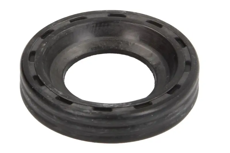 Прокладка корпуса форсунки CR BOSCH VOLVO C30, S40 II, V50, V70 III CITROEN BERLINGO, BERLINGO MULTISPACE, C2, C3 I, C3 II, C3 PICASSO, C4, C4 GRAND PICASSO I, C4 I 1.4D/1.6D 02.02- ENGITECH ENT250530 (фото 1)