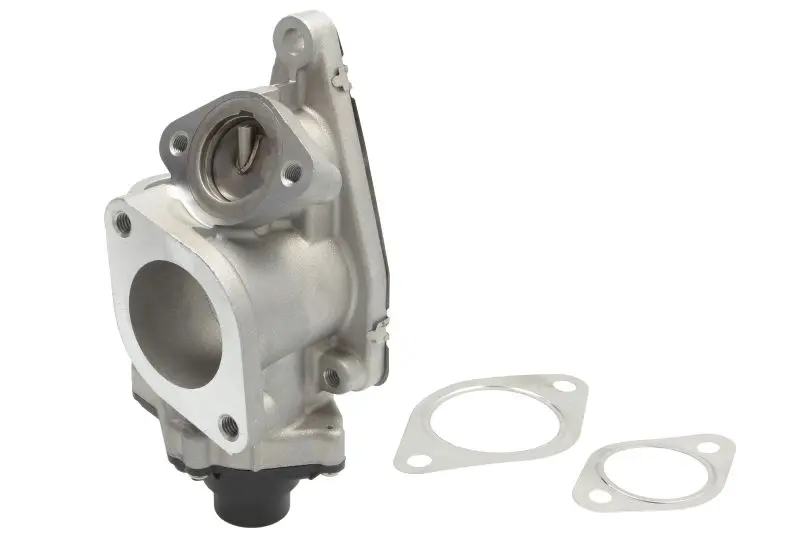 Клапан EGR RENAULT GRAND SCENIC II, LAGUNA II, MEGANE II, SCENIC II SUZUKI GRAND VITARA II 1.9D 03.01- ENGITECH ENT500080 (фото 1)