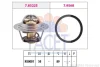 Термостат Duster/Logan/Clio/Kangoo/Megane I, II, III 1,4/1.6/2.0i 98- (88 C) FACET 7.8322 (фото 1)