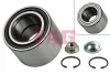Підшипник маточини (задньої) Ford Fiesta 01- (-ABS) FAG 713 6786 40 (фото 9)