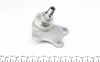 Опора кульова (передня/знизу/ззовні/R) Audi A2/Skoda Fabia/Roomster/VW Polo 99-10 FAG 825 0055 10 (фото 4)