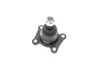 Опора кульова (передня/знизу) Toyota Hilux 2.2/2.4/2.5 85-05 FAG 825 0269 10 (фото 5)