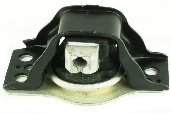 Подушка двигуна Dacia Logan 1.5dCi 08- FAST FT52591 (фото 1)