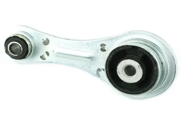 Подушка двигуна задня Kangoo 1.9D 97- FAST FT52600 (фото 1)