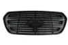 Решітка радіатора Ford Transit 14- FAST FT91654 (фото 1)