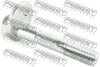 Болт з ексцентриком Highlander 00- FEBEST 0129-013 (фото 1)