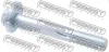 Болт з ексцентриком BMW 1/3/X3/X5 00- FEBEST 1929-001 (фото 1)