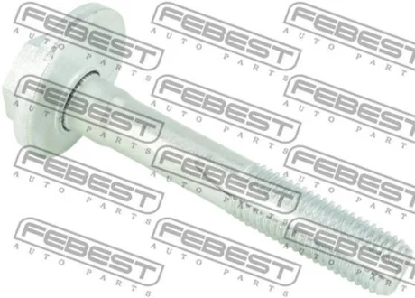 Болт з ексцентриком BMW X5 (E70/F15/F85) 06-19 FEBEST 1929-002