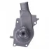 Помпа води Ford Fiesta II/III/Escort III/IV/V/VI/VII 1.3/1.4/1.6 81-00 FEBI BILSTEIN 01282 (фото 2)