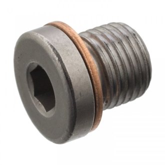 Болт слива оливы VW Caddy III/T5/T6 03- (M10x13) FEBI BILSTEIN 101021