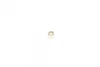 Фільтр АКПП Skoda Fabia/Octavia II/Roomster/VW Golf/Polo 1.4-2.0 TDI 04- (з прокладкою) (6 ступенів) FEBI BILSTEIN 106100 (фото 6)