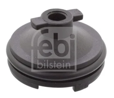 Пробка зливу оливи FEBI BILSTEIN 106566