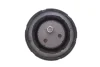 Подушка двигуна (передня) BMW 5 (E39) 2.5 TD 96-04 FEBI BILSTEIN 14179 (фото 4)