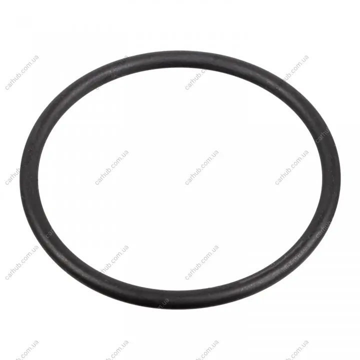 Прокладка насосу паливного Audi/VW/Ford/MB/Opel/Renault (31x2mm) FEBI BILSTEIN 172666 (фото 1)