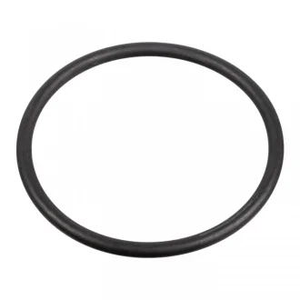 Прокладка насосу паливного Audi/VW/Ford/MB/Opel/Renault (31x2mm) FEBI BILSTEIN 172666